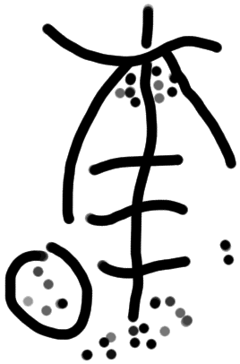 Sign A555, tracing from ZA 11a