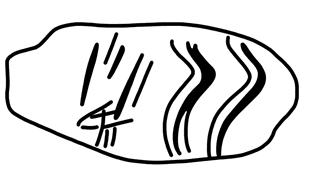 Tracing of HT Wa 1007