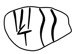 Tracing of HT Wa 1012