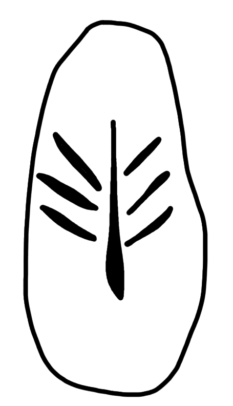 Tracing of HT Wa 1128