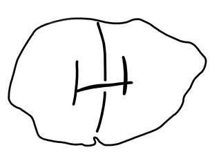 Tracing of HT Wa 1206