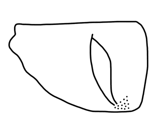 Tracing of HT Wa 1282
