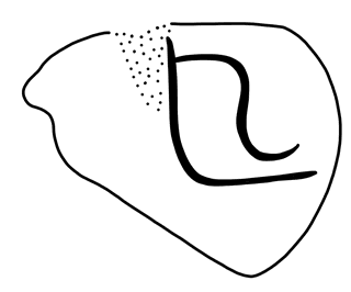 Tracing of HT Wa 1308