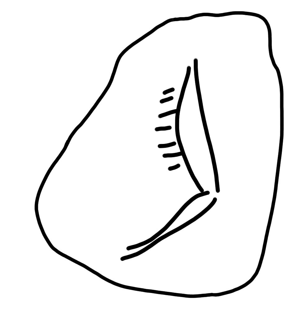 Tracing of HT Wa 1319