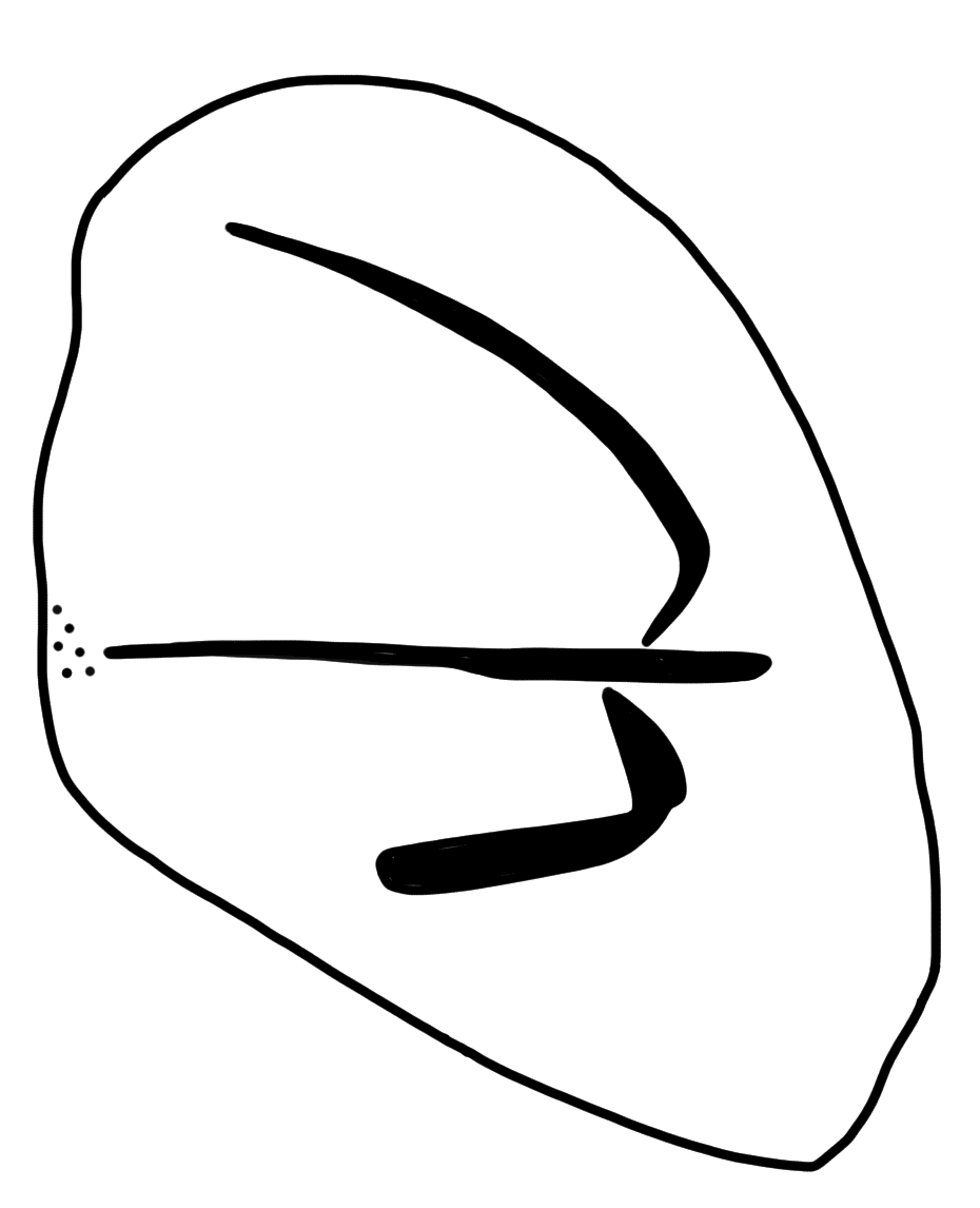 Tracing of HT Wa 1472
