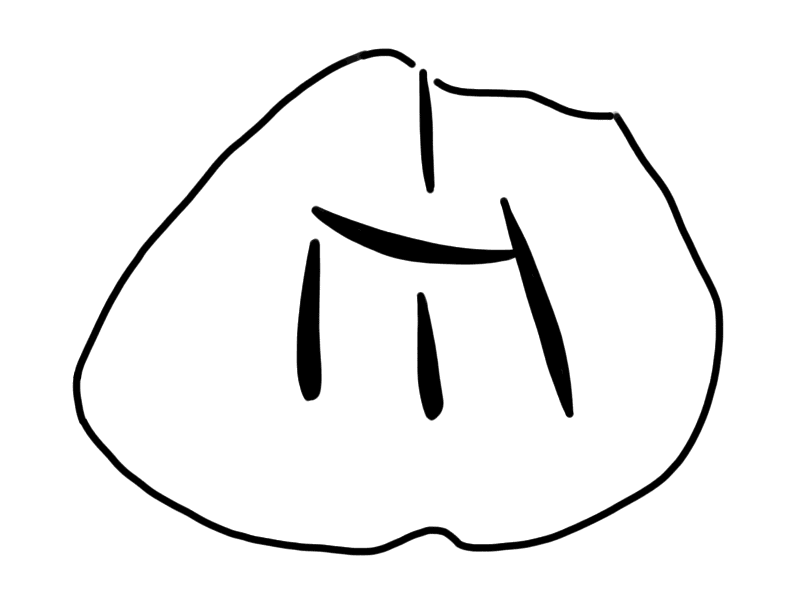 Tracing of HT Wa 1518