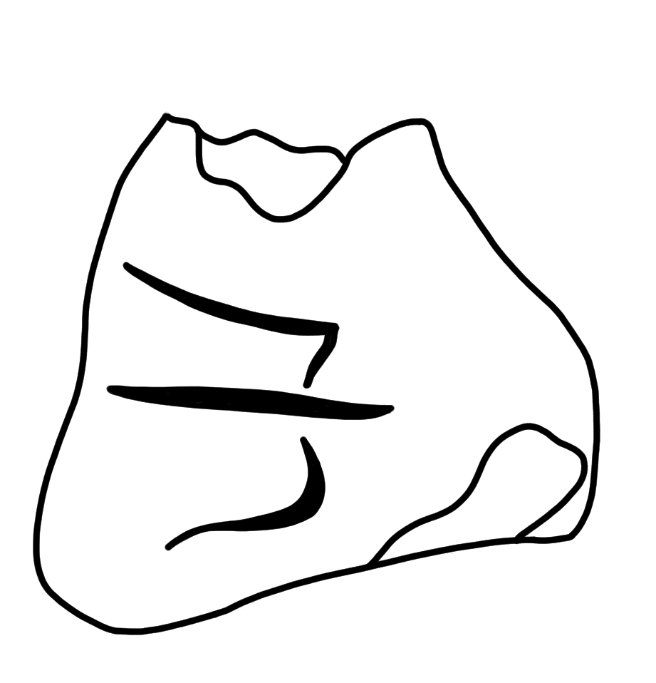 Tracing of HT Wa 1530