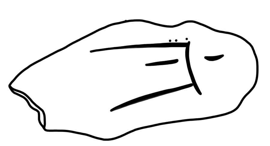 Tracing of HT Wa 1538