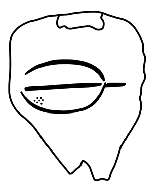 Tracing of HT Wa 1559