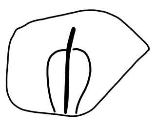 Tracing of HT Wa 1590