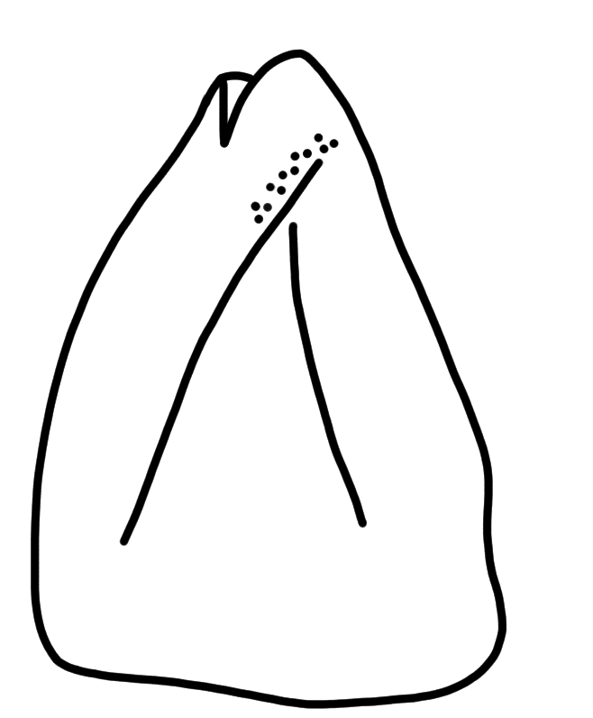 Tracing of HT Wa 1723