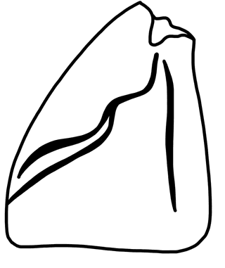Tracing of HT Wa 1764