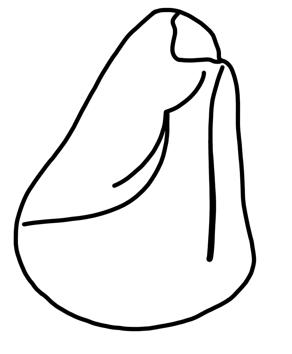 Tracing of HT Wa 1766