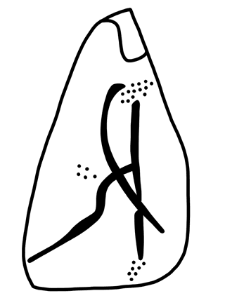 Tracing of HT Wa 1805