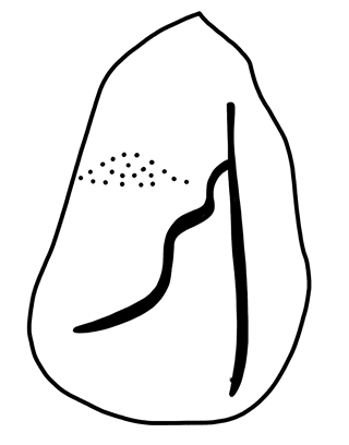 Tracing of HT Wa 1813
