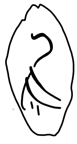 Tracing of HT Wa 1853