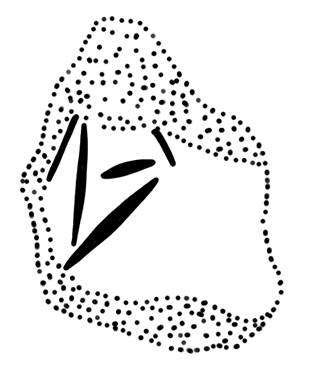 Tracing of KH 69