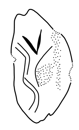 Tracing of KH Wa 1003