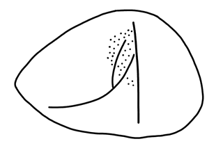 Tracing of KH Wa 1012