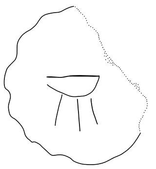 Tracing of KH Wc 2020
