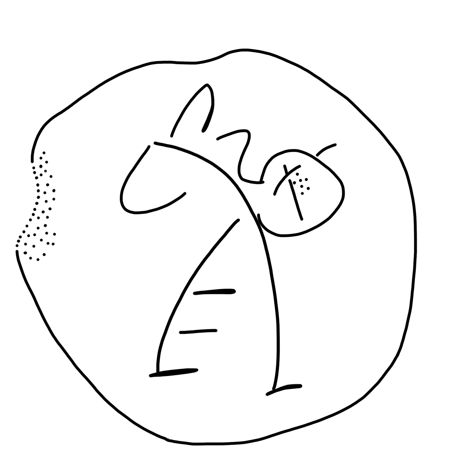 Tracing of KH Wc 2029