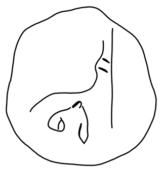 Tracing of KH Wc 2047