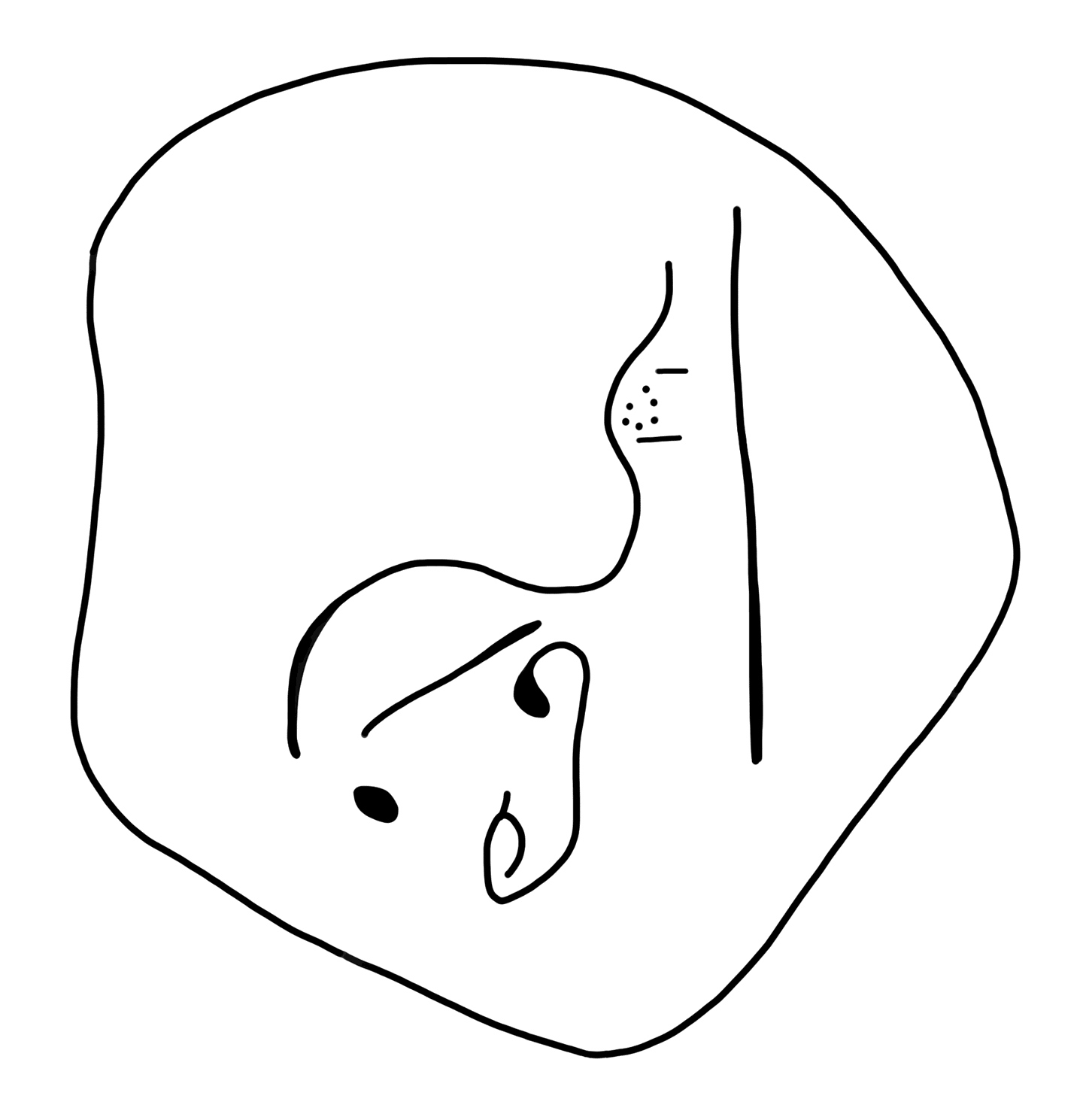 Tracing of KH Wc 2051