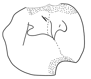 Tracing of KH Wc 2054