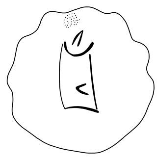 Tracing of KH Wc 2101