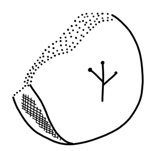 Tracing of PH Wc <47>