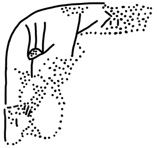 Tracing of ZA 24a