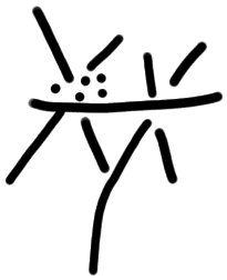 Sign AB30 ni FIC, HT 129, position 8