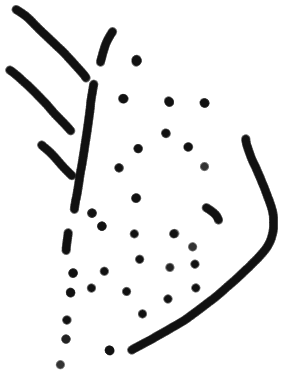 Sign A622, HT 137, position 5