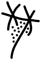 AB30 on HT 13, line 5
