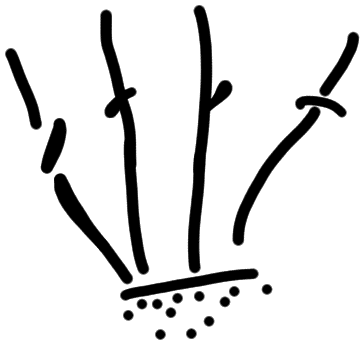 Sign AB29 pu2, HT 8b, position 2