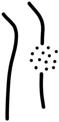 AB76 on HT Wa 1011, line 1