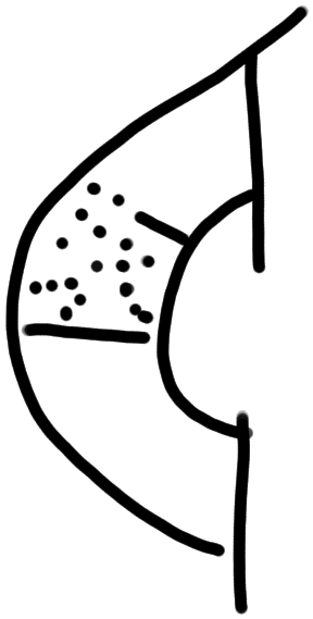 Sign A310, KN 28a, position 2
