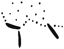 Sign ?, PE 2, position 5