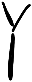 Sign AB31 sa, PH 16b, position 3