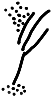 Sign A303, PH 1a, position 9