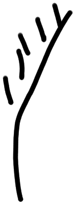 AB09 on PH 2, line 4