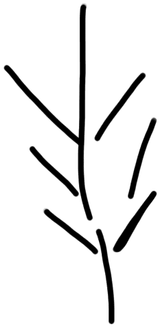 Sign AB04 te, PYR 1, position 5