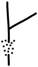 AB01 on TY 3a